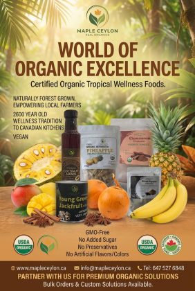 WhatsApp Image 2026-01-26 at 10.28.08 AM(3)