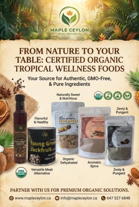 WhatsApp Image 2026-01-26 at 10.28.09 AM